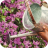 Watering Can