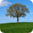 April Tree
