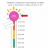 Broadband thermometer final