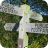 Footpaths