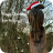 Henbury Christmas
