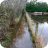Henbury to Whirley Footpath flood