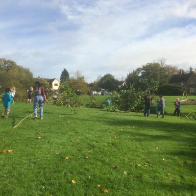 TreeThinning17
